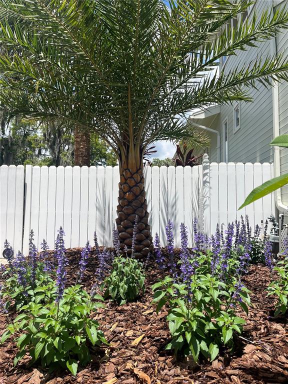 A palm tree stands in a garden bed filled with purple salvia and wood mulch — 11136 LORE WAY, ORLANDO, FL