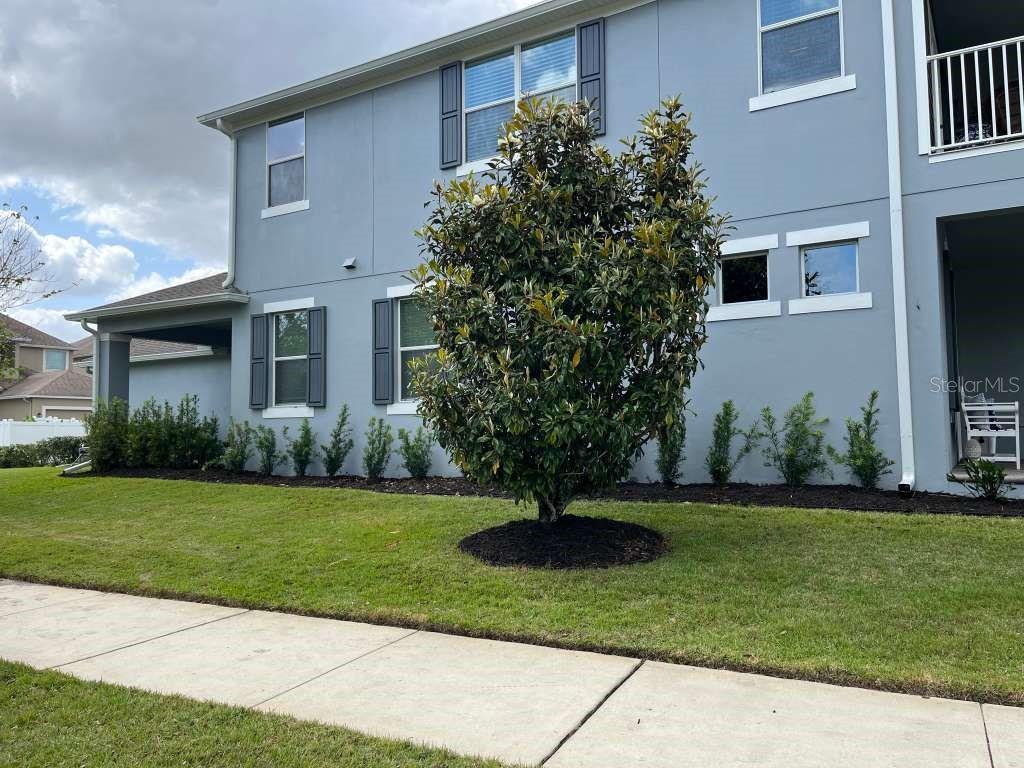 A two-story gray building exterior features a large central tree and a front lawn — 11136 LORE WAY, ORLANDO, FL