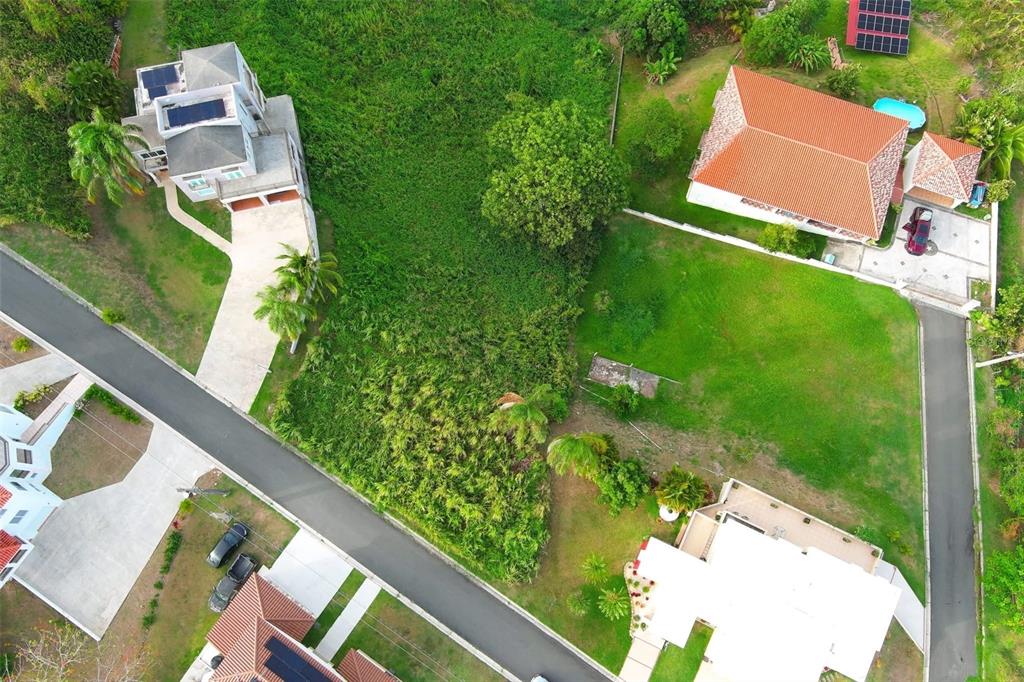 An aerial view shows a vacant, grassy lot situated between several suburban houses and roads — ANTON RUIZ, HUMACAO, PR