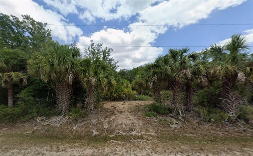 A dirt path leads into a wooded lot filled with numerous palm trees — 3296 COMO STREET, PORT CHARLOTTE, FL