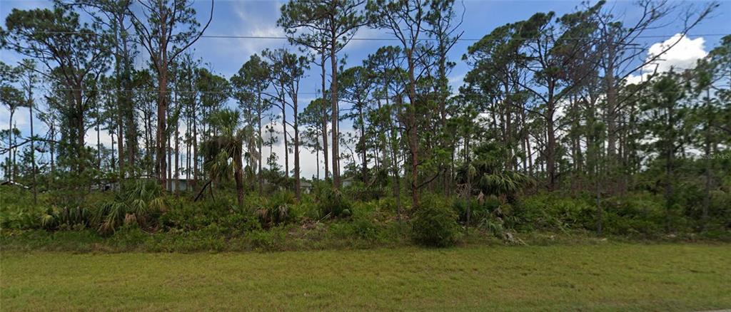 A grassy lot with dense trees and low-lying vegetation under a partly cloudy sky — 2521 & 2529 JACOBS STREET, PORT CHARLOTTE, FL