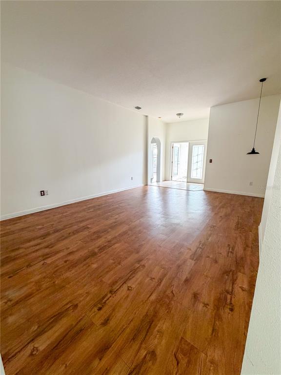 An empty room features wood-look flooring, white walls, and a single pendant light fixture — 3229 DUNSTABLE DRIVE, LAND O LAKES, FL