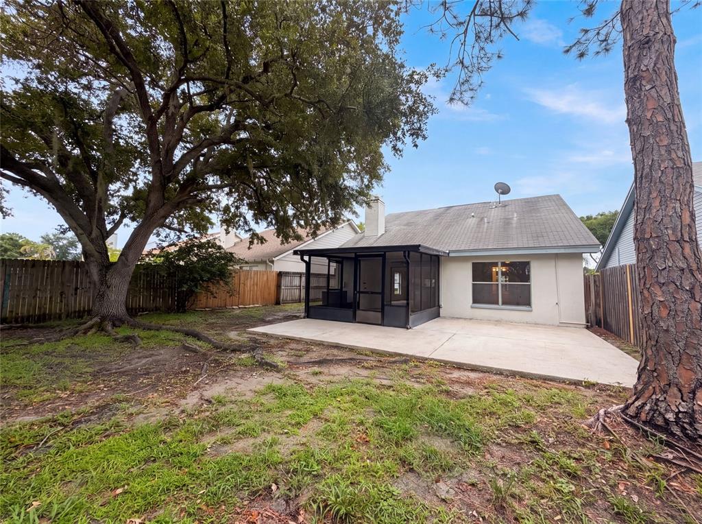 The backyard features a concrete patio, a screened-in porch, and large mature trees — 8613 COTTONWAY LANE, TAMPA, FL