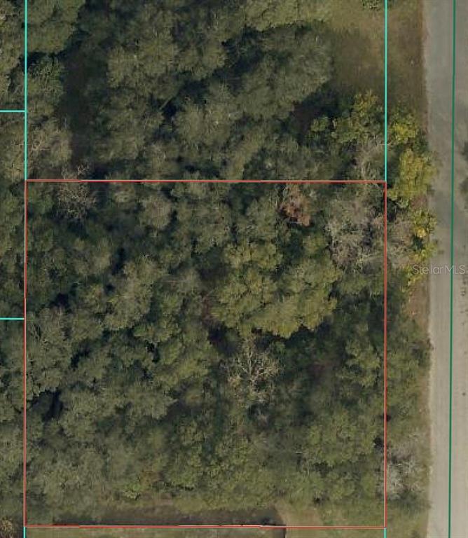 An aerial view shows a rectangular, wooded plot of land outlined in red — TBD SE 94 COURT, SUMMERFIELD, FL