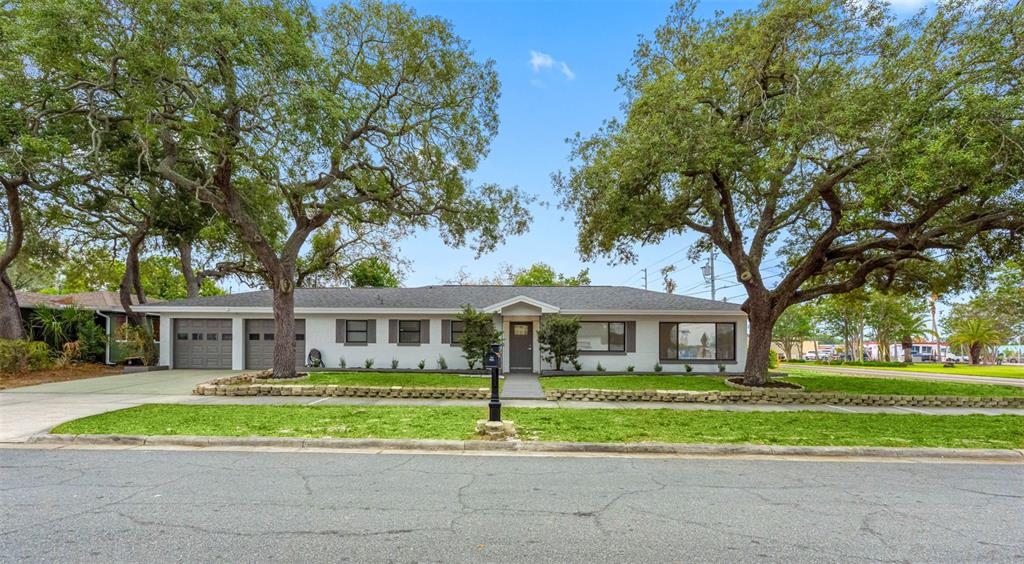 A single-story house with a white exterior, gray roof, and two large oak trees — 1005 APACHE TRAIL, CLEARWATER, FL