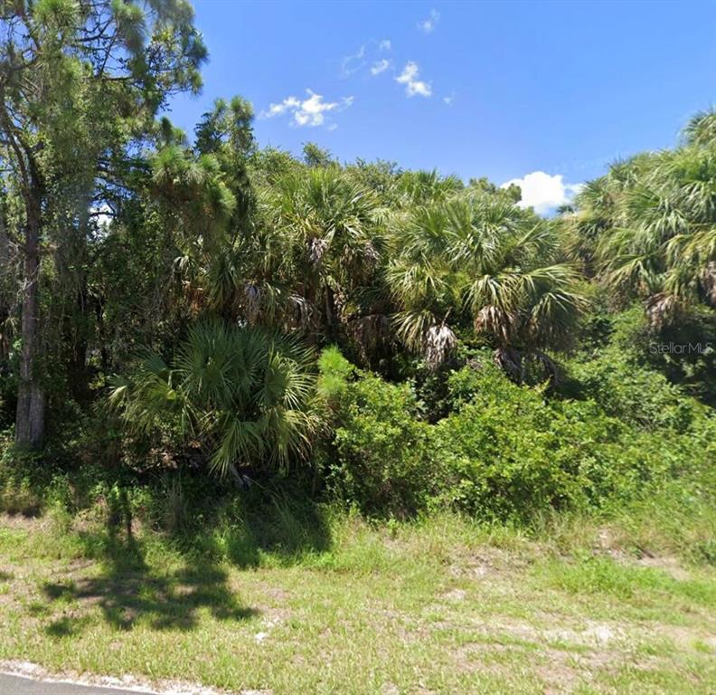 A dense, wooded lot with various palm trees and shrubs under a blue sky — 0 TISHMAN AVENUE, NORTH PORT, FL