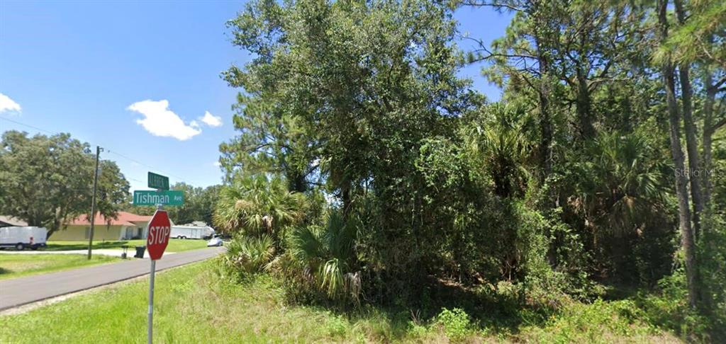 A street corner with a stop sign and a wooded, undeveloped lot under a blue sky — 0 TISHMAN AVENUE, NORTH PORT, FL