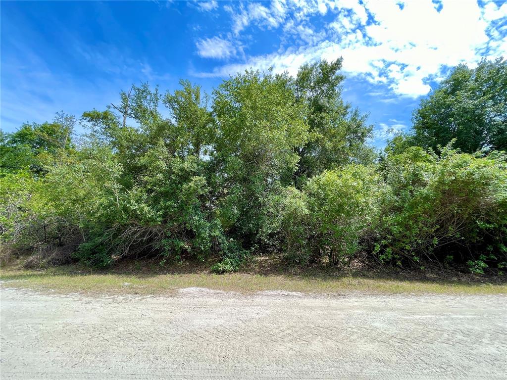 A dirt road runs in front of a dense, wooded lot under a blue sky — 27209 HACIENDA DRIVE, PUNTA GORDA, FL