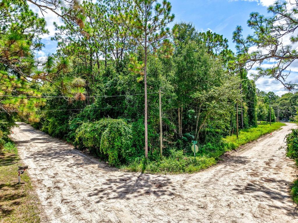 NE 51ST PLACE, WILLISTON, FL — photo 4 of 17