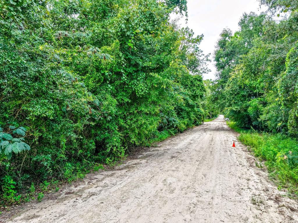 NE 51ST PLACE, WILLISTON, FL — photo 5 of 17