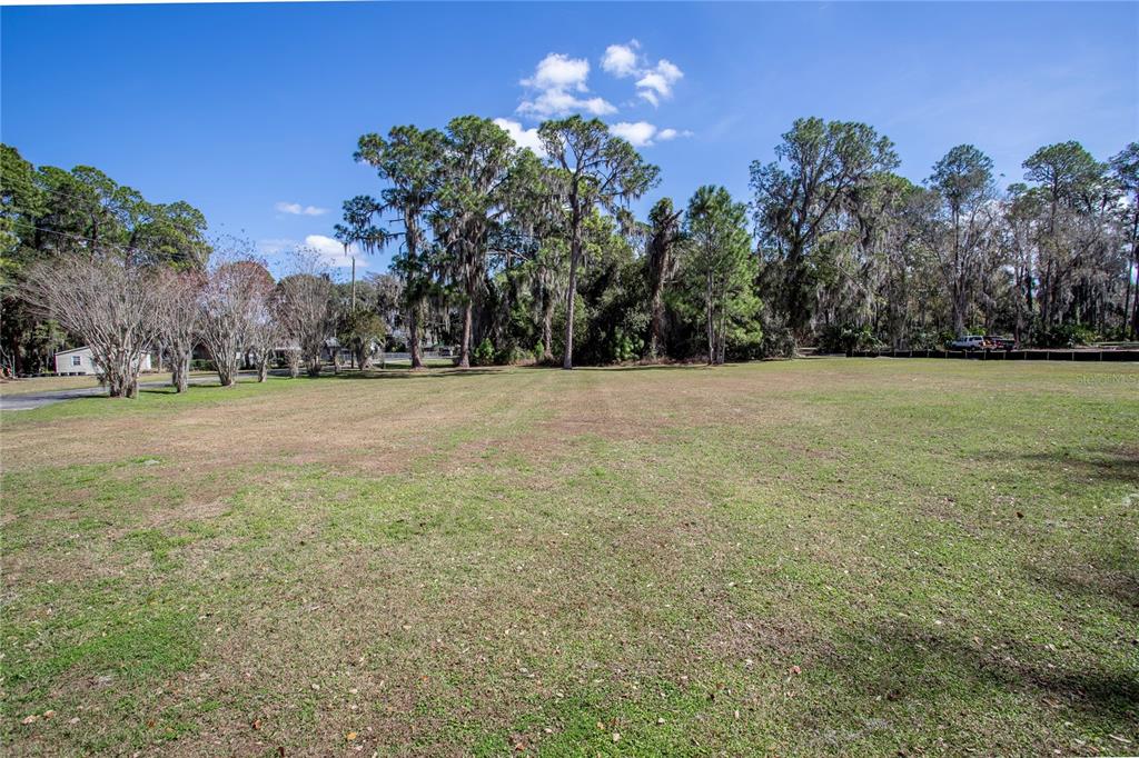 A large, flat, grassy vacant lot is bordered by tall trees under a blue sky — 31035 COVE ROAD, TAVARES, FL