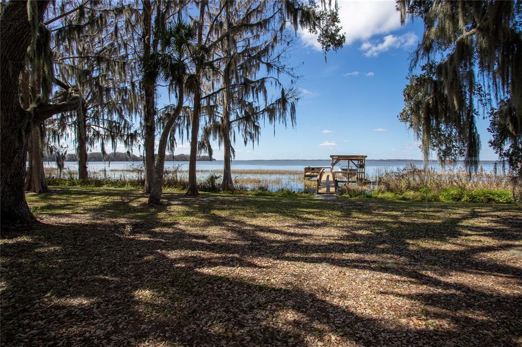 A grassy yard with moss-draped trees leads to a wooden dock on a lake — 31035 COVE ROAD, TAVARES, FL