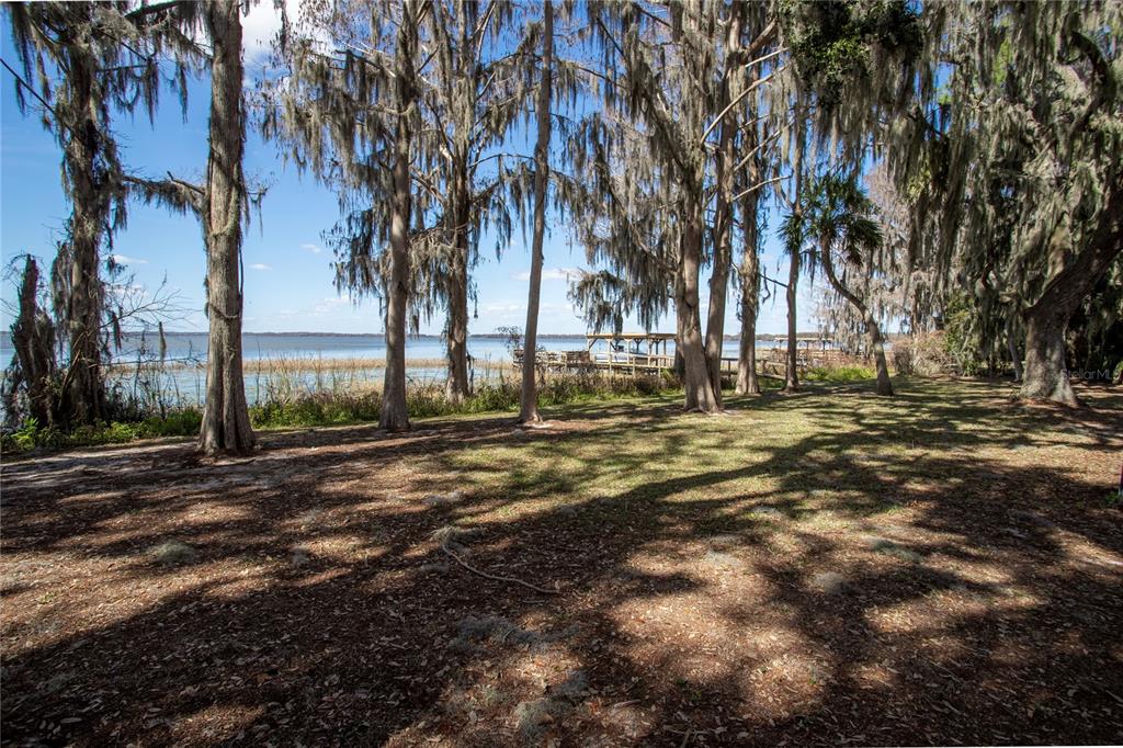 A grassy yard with moss-draped trees leads to a wooden dock on a lake — 31035 COVE ROAD, TAVARES, FL
