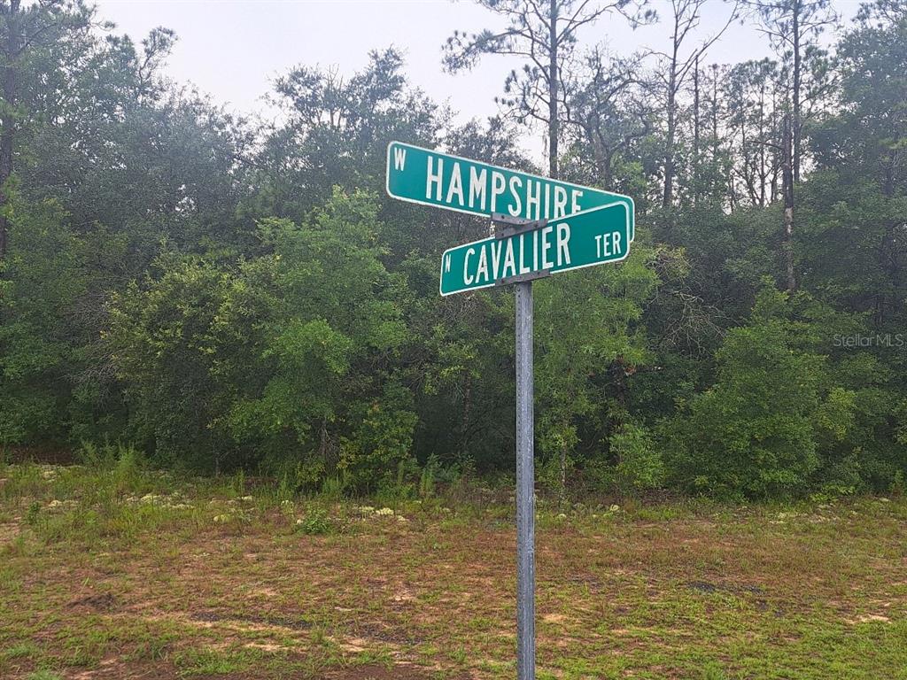 A street sign stands at the intersection of W Hampshire and Cavalier Ter near woods — 6344 N CAVALIER TERRACE, CITRUS SPRINGS, FL