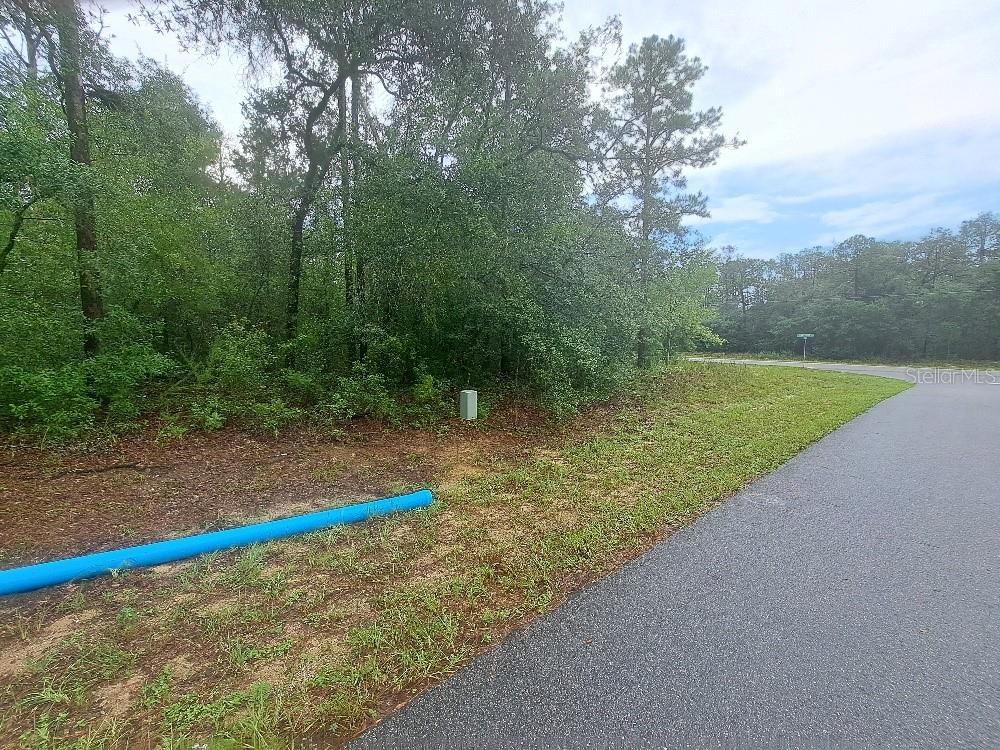 A paved road runs alongside a wooded lot with a blue pipe on the ground — 6344 N CAVALIER TERRACE, CITRUS SPRINGS, FL