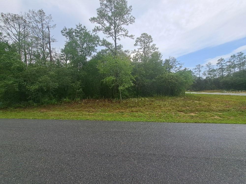 A view of a vacant, wooded lot bordered by an asphalt road — 6344 N CAVALIER TERRACE, CITRUS SPRINGS, FL