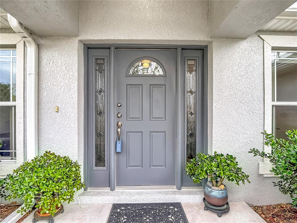 A gray front door with a glass arch and sidelights sits between two potted plants — 3490 DOW LANE, SPRING HILL, FL