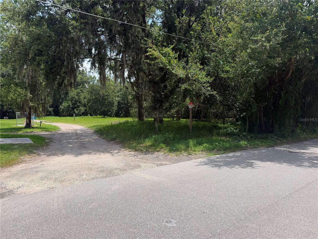 A dirt driveway leads from a paved road into a wooded, grassy lot — HELEN AVENUE, KISSIMMEE, FL