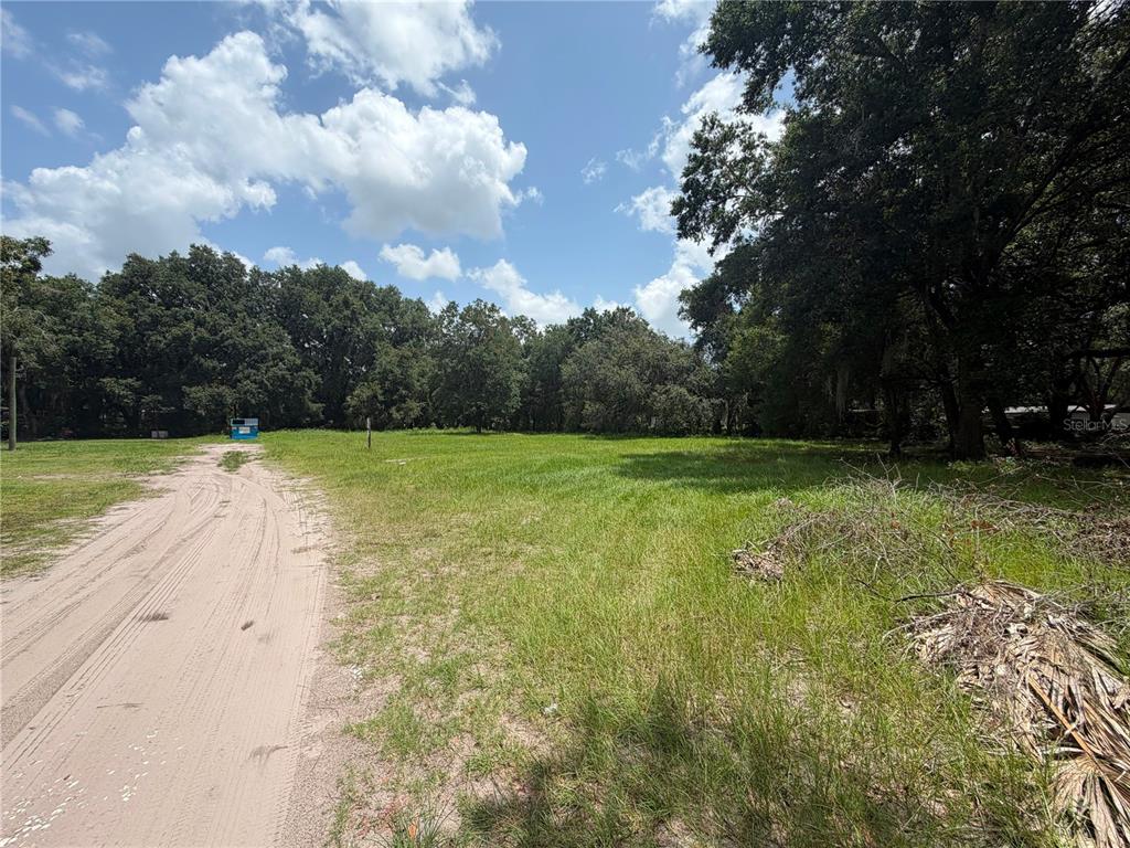 A dirt path leads through a grassy, wooded lot under a blue sky with clouds — HELEN AVENUE, KISSIMMEE, FL