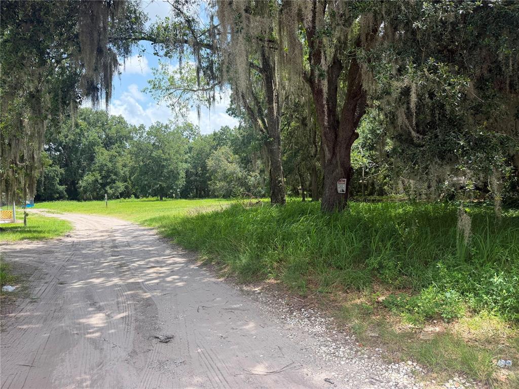 A dirt road leads past a large, moss-draped tree toward a grassy, wooded lot — HELEN AVENUE, KISSIMMEE, FL