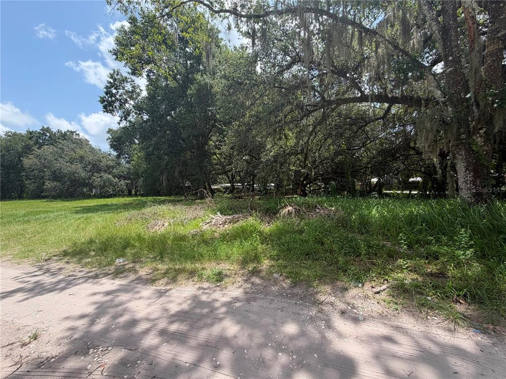 A dirt road runs alongside a grassy, tree-filled vacant lot under a blue sky — HELEN AVENUE, KISSIMMEE, FL