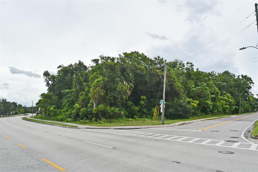A vacant, tree-covered corner lot sits at the intersection of two paved roads — S RONALD REAGAN BOULEVARD, ALTAMONTE SPRINGS, FL