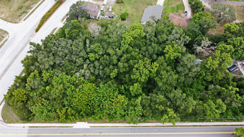 An aerial view shows a dense, wooded lot situated between two paved roads — S RONALD REAGAN BOULEVARD, ALTAMONTE SPRINGS, FL