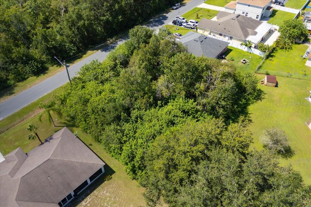 An aerial view shows a heavily wooded vacant lot situated between two residential houses — 0 CANNES DRIVE, KISSIMMEE, FL