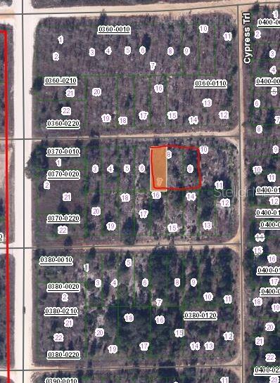 00 CHESTNUT TRAIL, INTERLACHEN, FL — photo 2 of 3