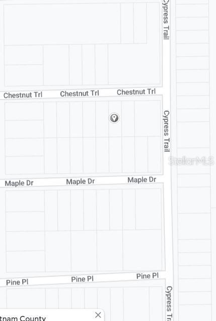 00 CHESTNUT TRAIL, INTERLACHEN, FL — photo 3 of 3