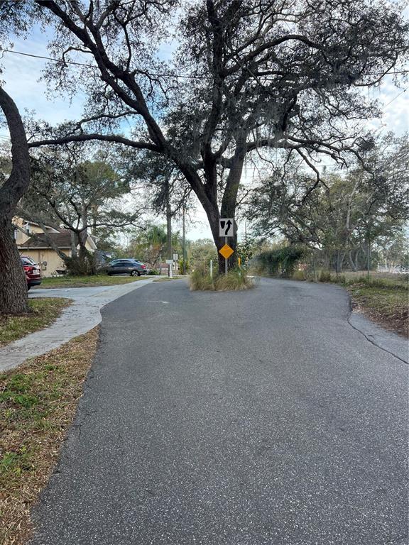 A paved road splits around a large tree with a traffic sign in the center — FORDE AVENUE, TARPON SPRINGS, FL