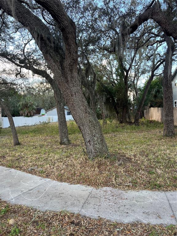 A vacant, grassy lot features several large, mature oak trees and a concrete sidewalk — FORDE AVENUE, TARPON SPRINGS, FL