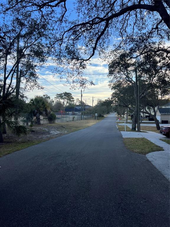 A paved street stretches forward between trees and residential properties under a blue sky — FORDE AVENUE, TARPON SPRINGS, FL