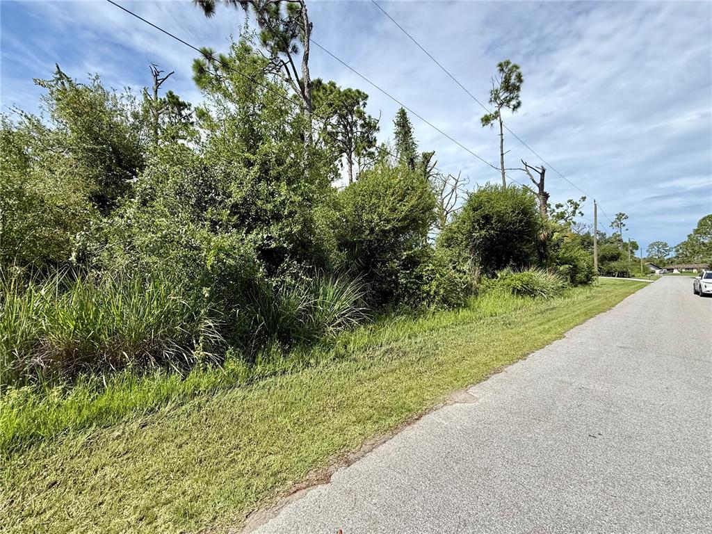 A paved road runs alongside a vacant, heavily wooded lot under a cloudy sky — 13165 GOTHAM AVE, PORT CHARLOTTE, FL
