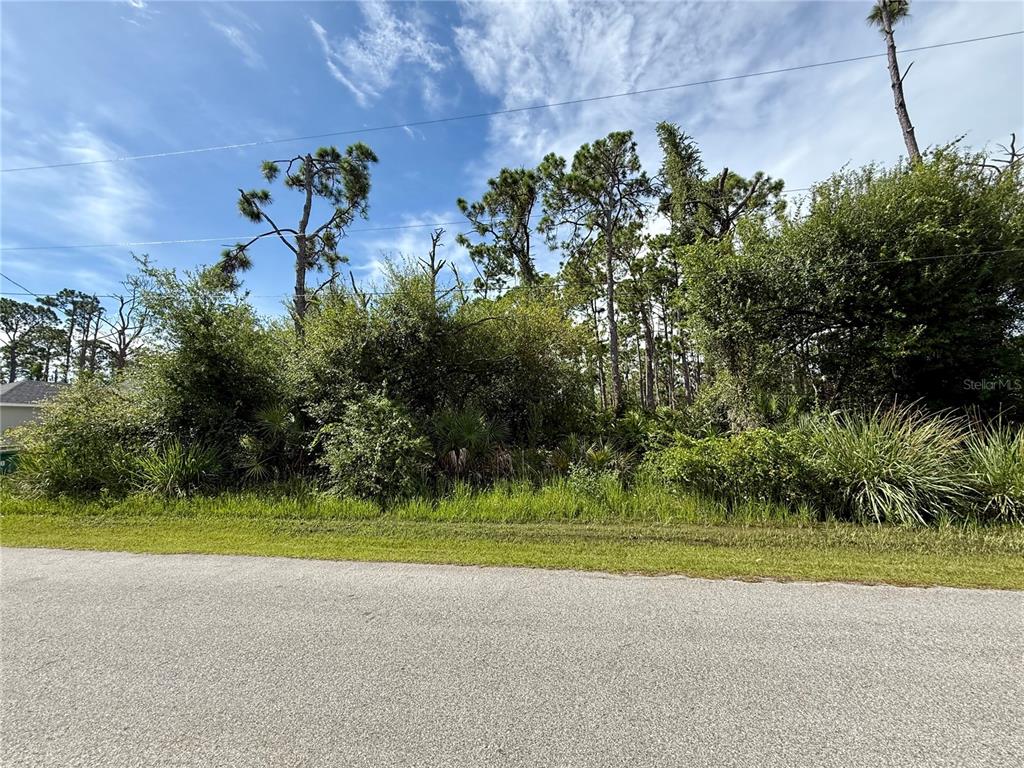 A vacant, wooded lot is viewed from the adjacent paved road under a blue sky — 13165 GOTHAM AVE, PORT CHARLOTTE, FL