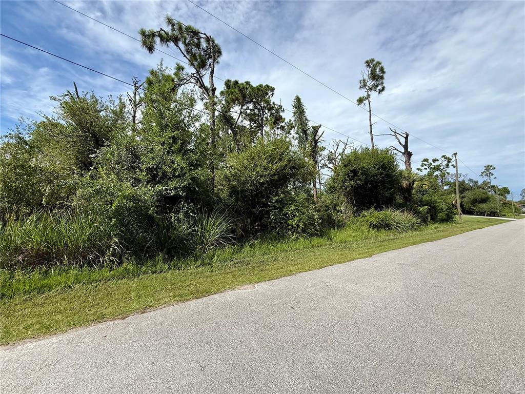 A paved road runs alongside a vacant, heavily wooded lot with tall pine trees — 13165 GOTHAM AVE, PORT CHARLOTTE, FL
