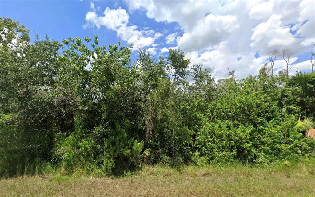 A dense, wooded lot with green trees and shrubs under a blue, cloudy sky — 14276 MYAKKA AVENUE, PORT CHARLOTTE, FL