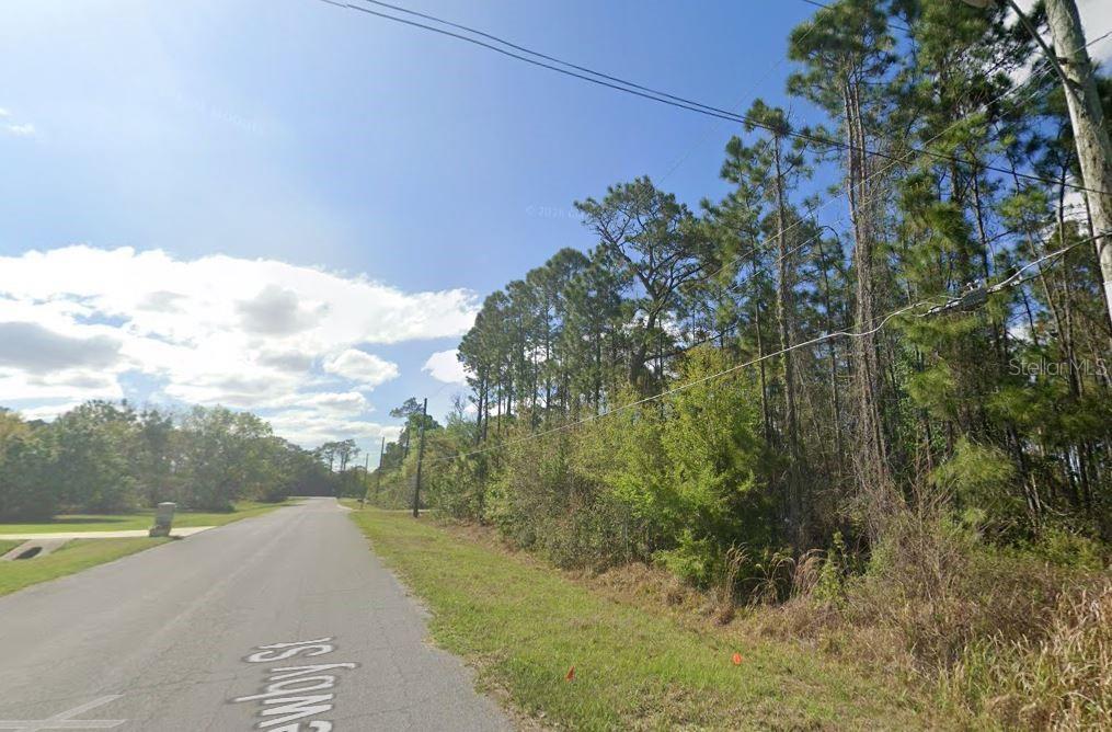 A paved road runs alongside a wooded lot under a blue sky with clouds — 20607 NEWBY STREET, ORLANDO, FL