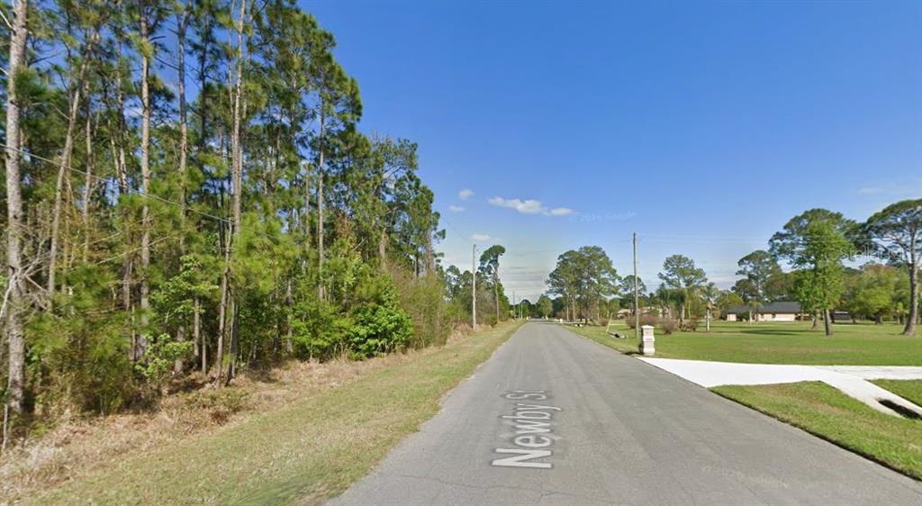 A paved street runs between a wooded area on the left and a grassy lot — 20607 NEWBY STREET, ORLANDO, FL