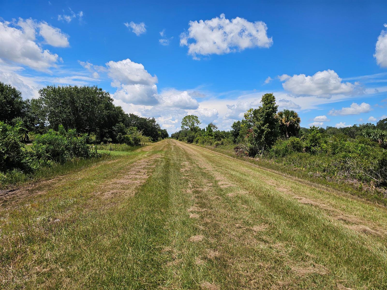 A wide, mowed grass path stretches through a sunny, open field bordered by dense trees — 16431 NW 270th Street, Okeechobee FL 34972, OKEECHOBEE, FL
