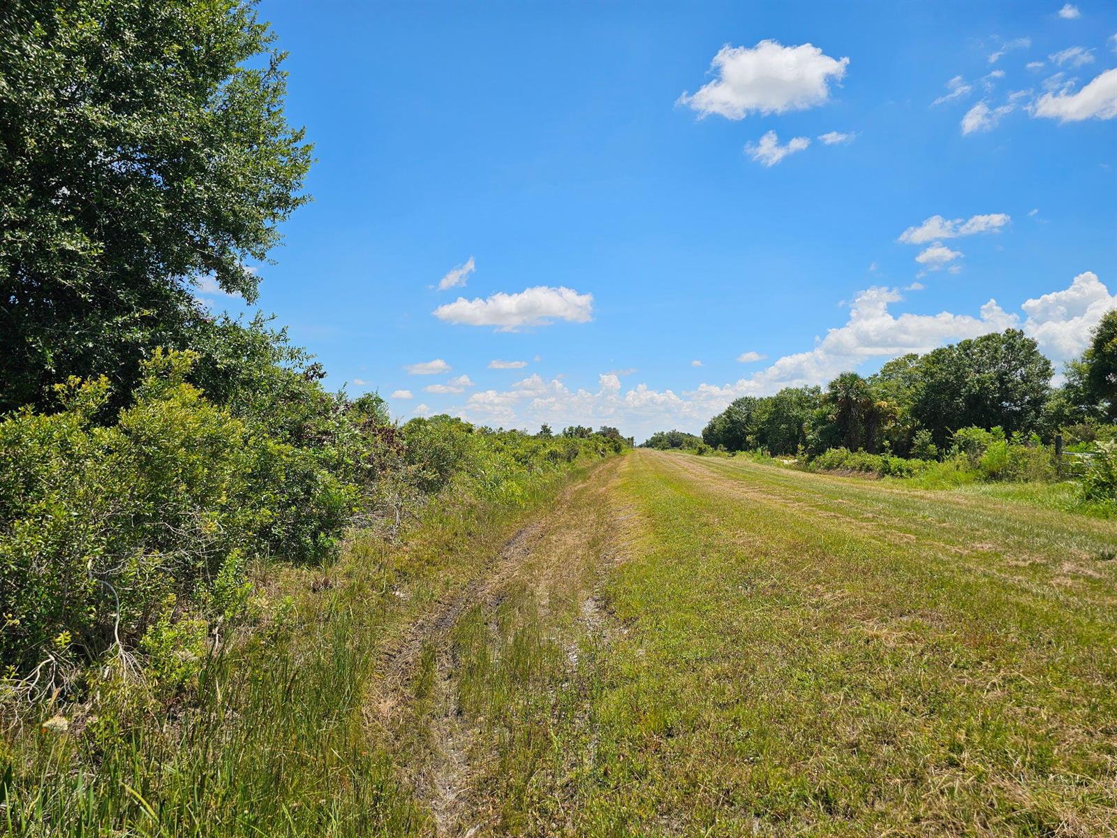 A grassy path leads through a rural landscape with trees and a bright blue sky — 16431 NW 270th Street, Okeechobee FL 34972, OKEECHOBEE, FL