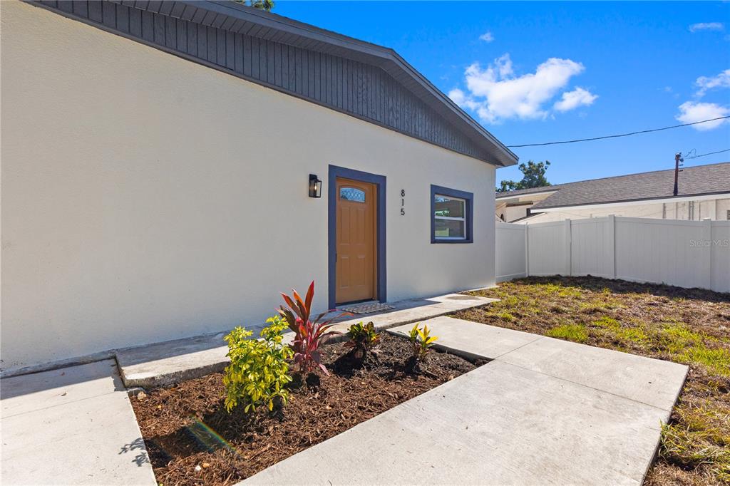 A single-story house exterior features a tan door, dark trim, and a concrete walkway — 815 W MINNEHAHA STREET, TAMPA, FL