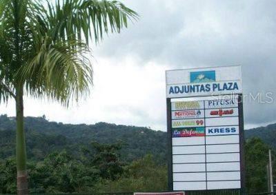 10 PR-10, ADJUNTAS, PR — photo 2 of 6