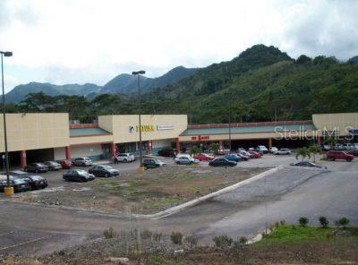 10 PR-10, ADJUNTAS, PR — photo 4 of 6