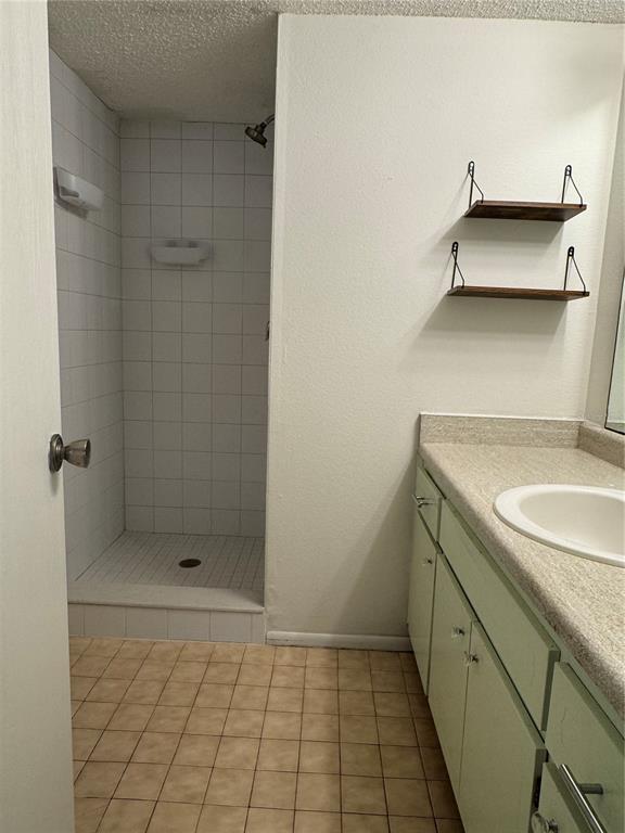 A bathroom features a tiled walk-in shower, a vanity with a sink, and wall-mounted shelves — 1126 KING ARTHUR COURT UNIT 413, DUNEDIN, FL