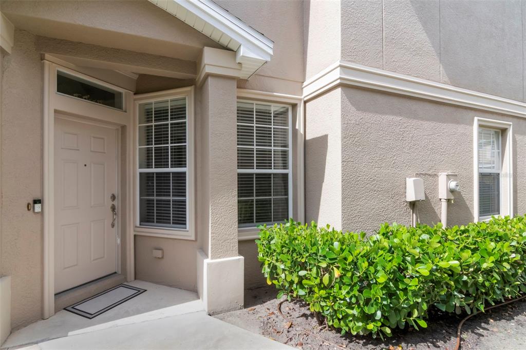 The exterior of a beige home features a front door, two windows, and green bushes — 4111 BISMARCK PALM DRIVE, TAMPA, FL