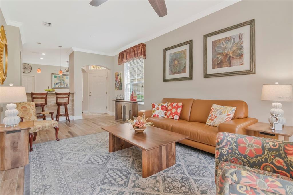 A living room features a tan leather sofa, patterned armchairs, and a wooden coffee table — 4111 BISMARCK PALM DRIVE, TAMPA, FL