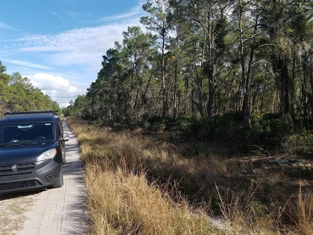 A black van is parked on a dirt road next to a wooded area — 455 HUMMINGBIRD AVENUE, SEBRING, FL