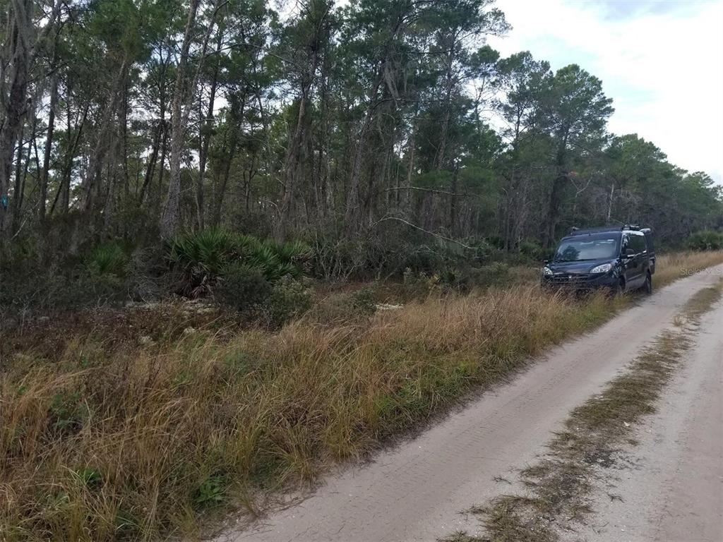A dark van is parked on a dirt road next to a wooded area — 455 HUMMINGBIRD AVENUE, SEBRING, FL