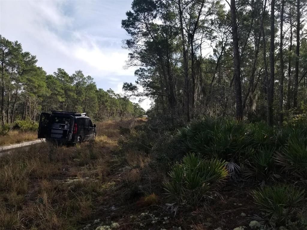 A black van is parked on a dirt path alongside a dense, wooded forest area — 455 HUMMINGBIRD AVENUE, SEBRING, FL